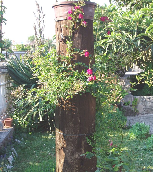 Familienhaus in Rukavac-Opatija (3)