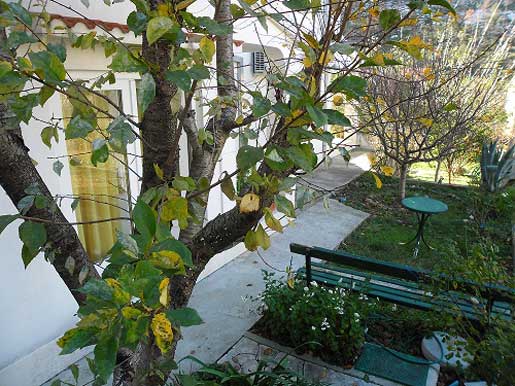 Villa-in-der-Nähe-von-Split-Zrnovnica--(3)