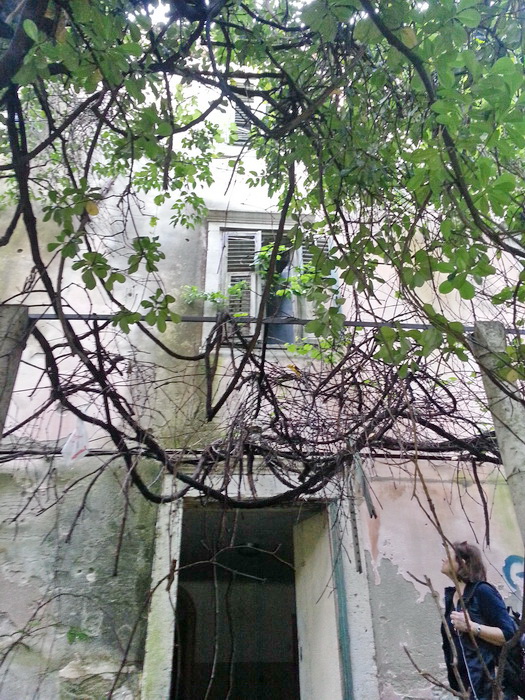 Altbau Villa Dubrovnik (7)