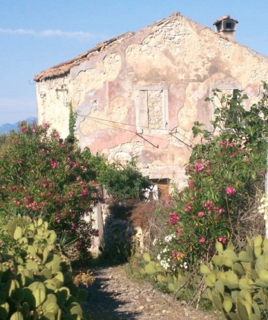 Haus in der Nähe vom Meer in Punta Kriza-Insel Cres (10)