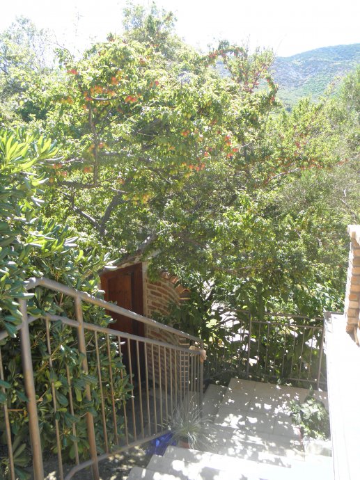 Wunderschöne Haus in Nerezine-Mali Losinj (1)