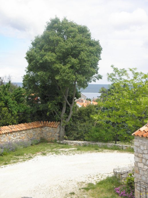 Wunderschöne Haus w Nerezine-Mali Losinj (15)