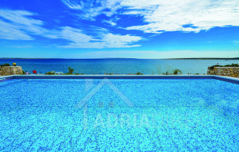 изображение-20733 (1)