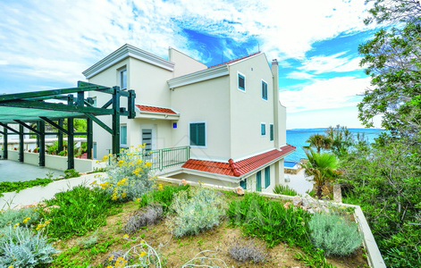 изображение-20734 (1)