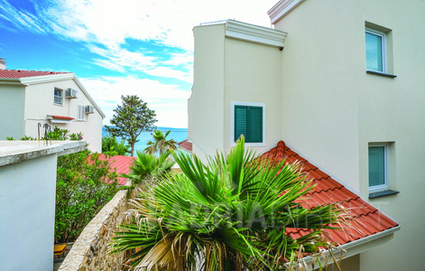 изображение-20735 (1)