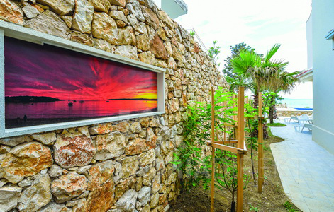 изображение-20736