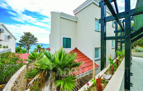 изображение-20739 (1)