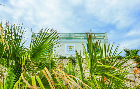 изображение-20740 (1)