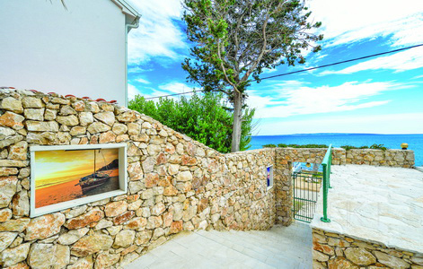 изображение-20741 (1)