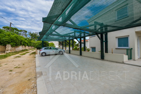 изображение-20742 (1)