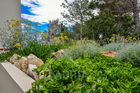 изображение-20743 (1)