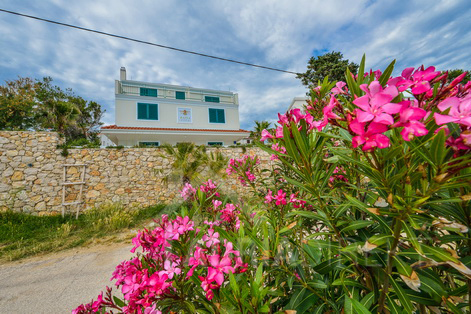 изображение-20744 (1)