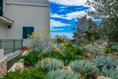 изображение-20745 (1)