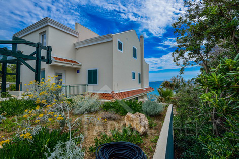 изображение-20746 (1)