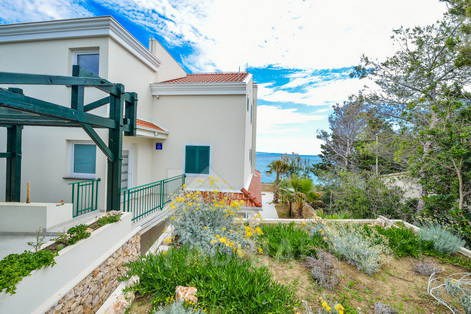 изображение-20747 (1)