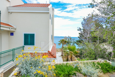 изображение-20748 (1)