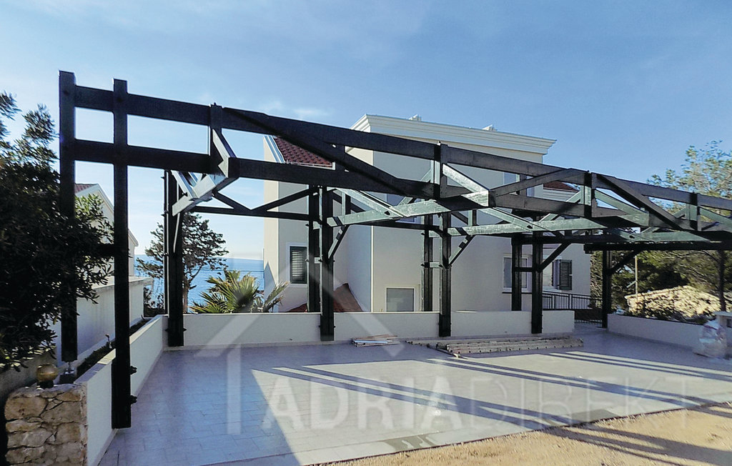 изображение-20752 (1)