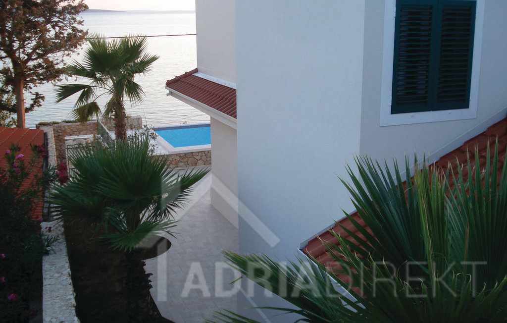 изображение-20756 (1)