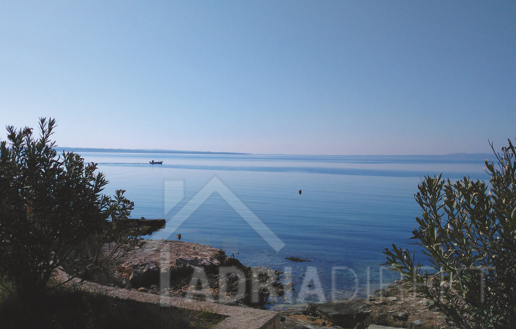 изображение-20757 (1)