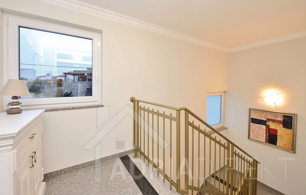 изображение-20765 (1)