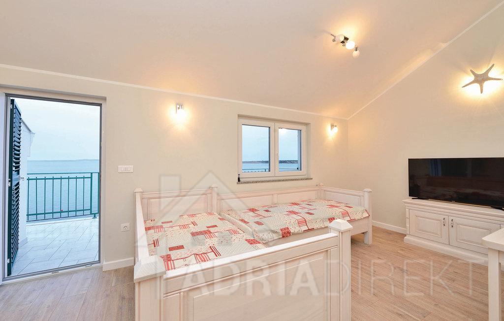 изображение-20766 (1)