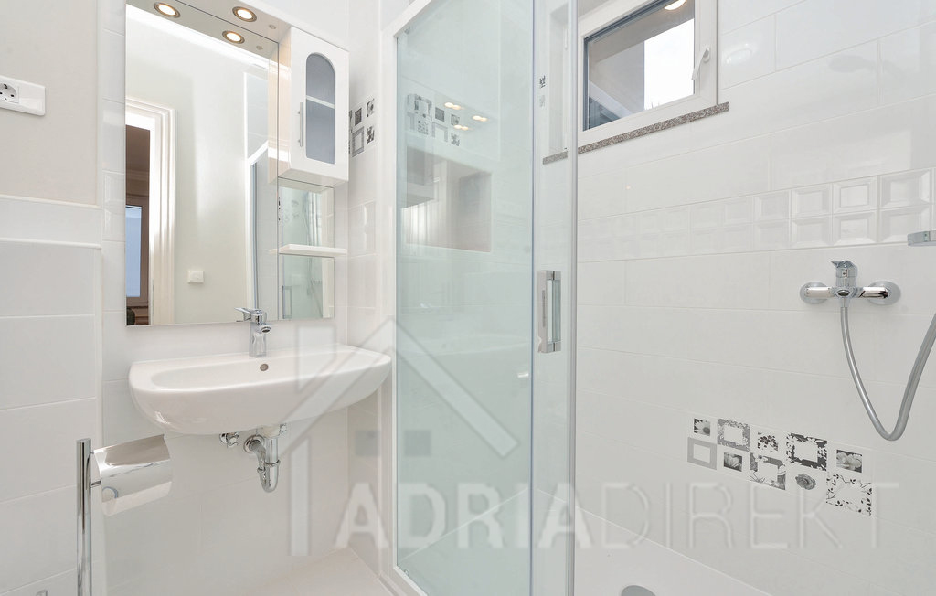 изображение-20770 (1)