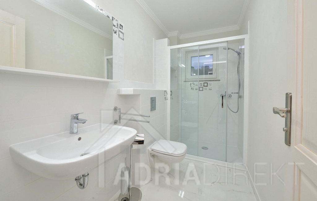 изображение-20771 (2)