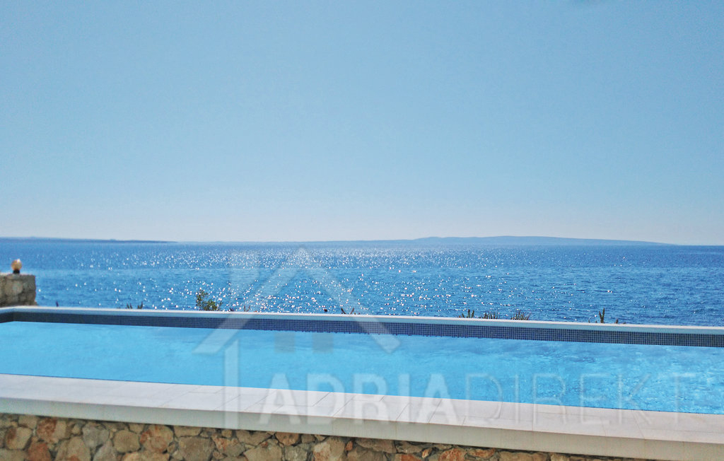 изображение-20773 (1)