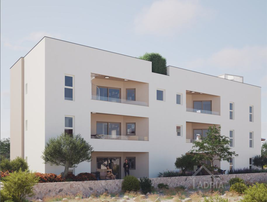 изображение-79016